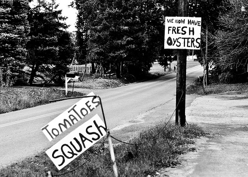signs in black and white
