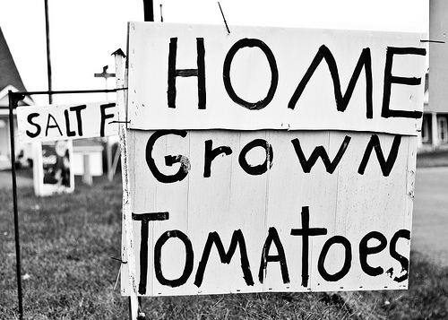 tomatoes black and white