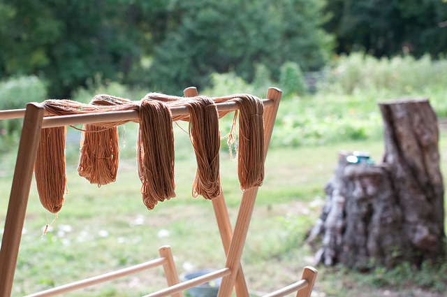 dyeing yarn with dock seed