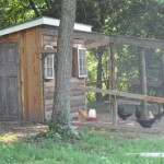 Our little summer project: The chicken coop is finally finished!