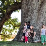 Remarkable Trees of Virginia: Oak Ridge Estate White Oak