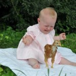 Beatrix, on the other hand, does NOT like chickens
