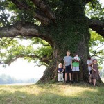 Remarkable Trees of Virginia: The Earlysville Oak