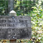 Family Hike: Crabtree Falls VA