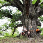 Remarkable Trees Adventure: Cumberland County White Oak