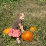 Pumpkin Patch Pictures (a lot of pictures)