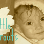 Sponsored Giveaway: Little Sprouts Cloth Diapers!