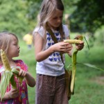 More from the garden (or Beatrix shucks corn and it’s funny)