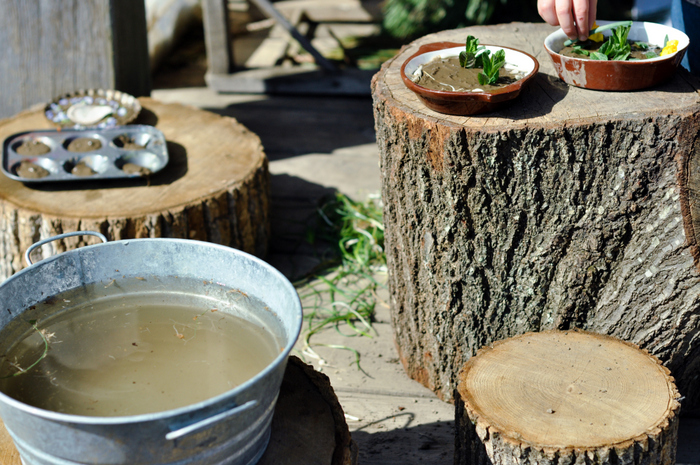 mud pie kitchen tree stumps and water small things blog